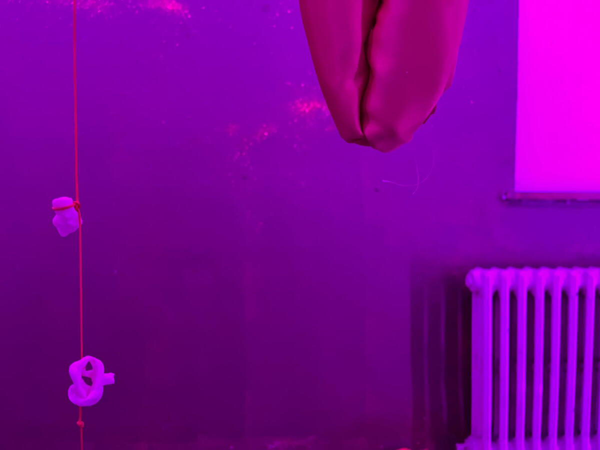 Untitled Untitled